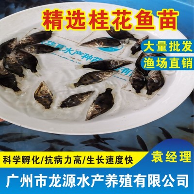中国水产养殖网_水产交易网上市场_成品 种苗 设备 饲料 渔药