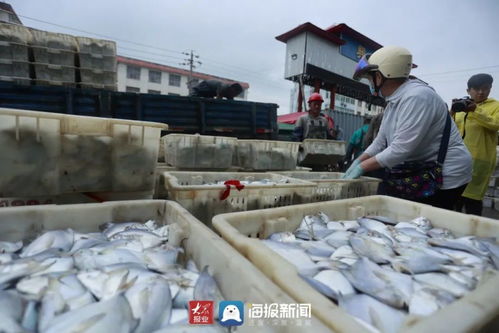 海鲜价格曝光 记者实地探访 开海第一鲜来了