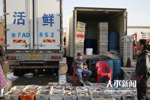 封海倒计时 烟台海鲜你囤货了么